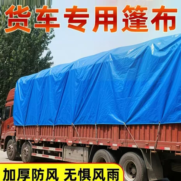 ����ר���� 