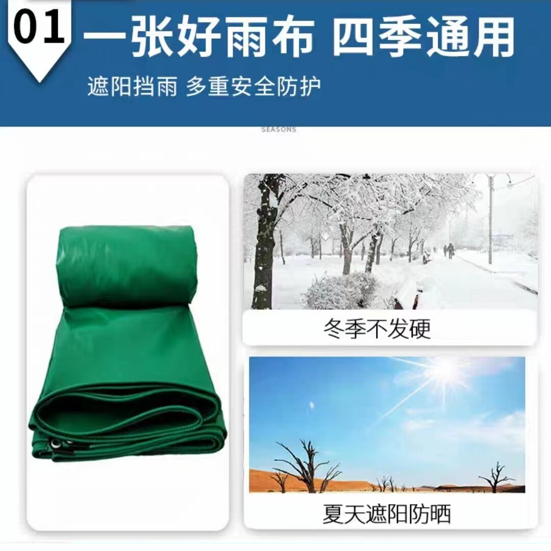 ����/������ 