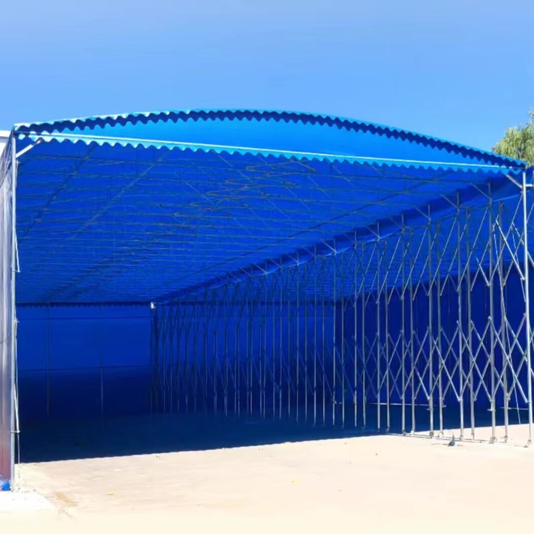 ����/������ 